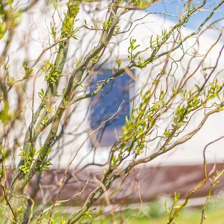 Jurta Prie Juros Namelis