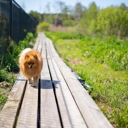 Jurta Prie Juros * Palanga