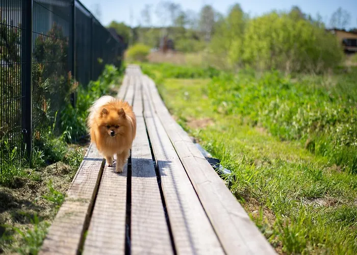 Jurta Prie Juros * Palanga